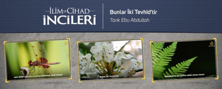 Bunlar İki Tevhiddir